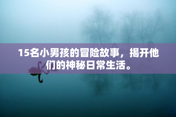 15名小男孩的冒险故事，揭开他们的神秘日常生活。