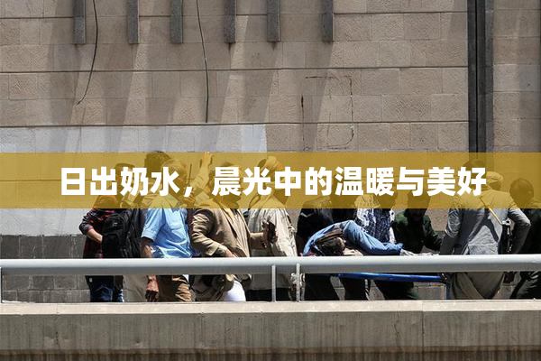 日出奶水，晨光中的温暖与美好