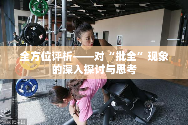 全方位评析——对“批全”现象的深入探讨与思考