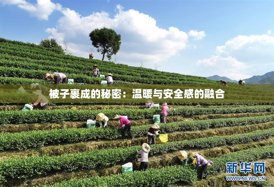 被子裹成的秘密：温暖与安全感的融合