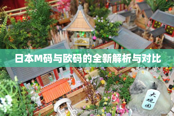 日本M码与欧码的全新解析与对比