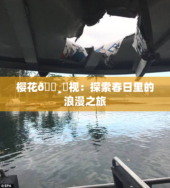 樱花🌸‌视：探索春日里的浪漫之旅