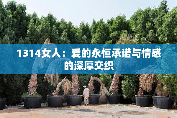 1314女人：爱的永恒承诺与情感的深厚交织