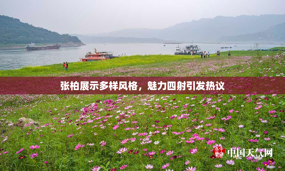 张柏展示多样风格，魅力四射引发热议