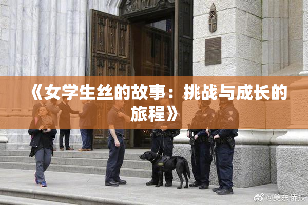 《女学生丝的故事：挑战与成长的旅程》