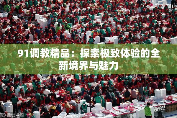 91调教精品：探索极致体验的全新境界与魅力