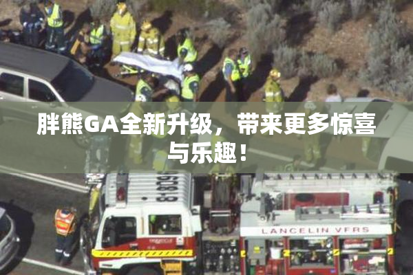 胖熊GA全新升级，带来更多惊喜与乐趣！