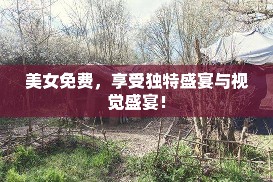 美女免费，享受独特盛宴与视觉盛宴！
