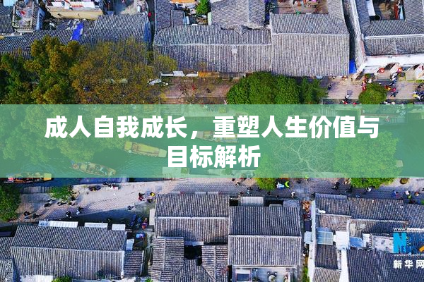 成人自我成长，重塑人生价值与目标解析