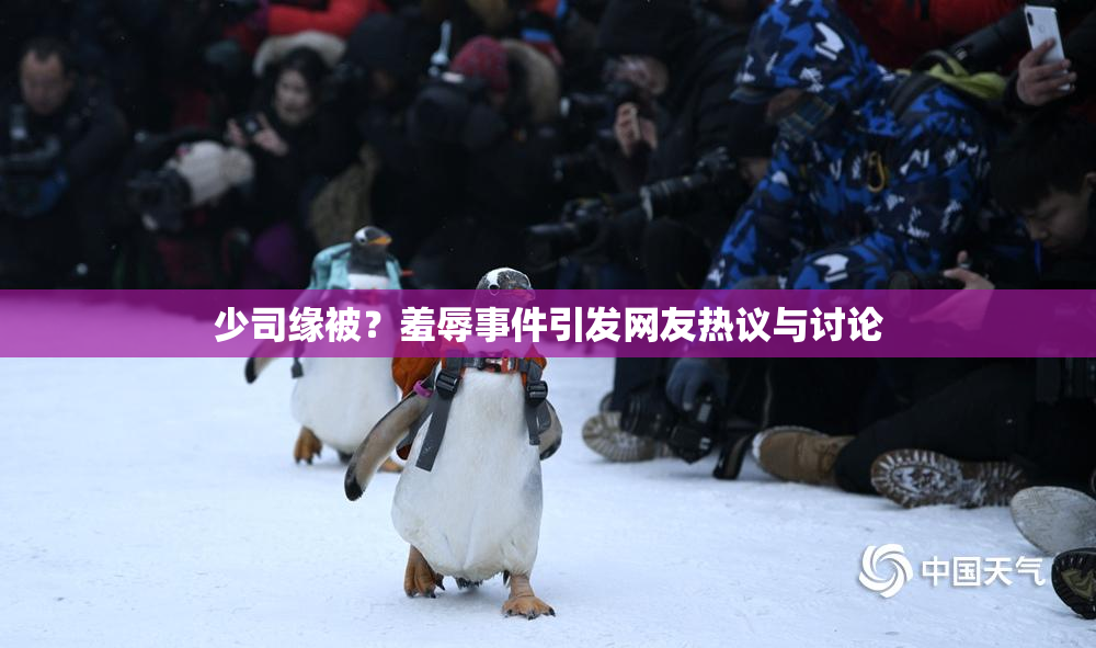 少司缘被？羞辱事件引发网友热议与讨论