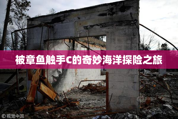 被章鱼触手C的奇妙海洋探险之旅