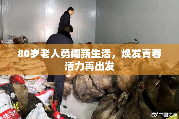 80岁老人勇闯新生活，焕发青春活力再出发