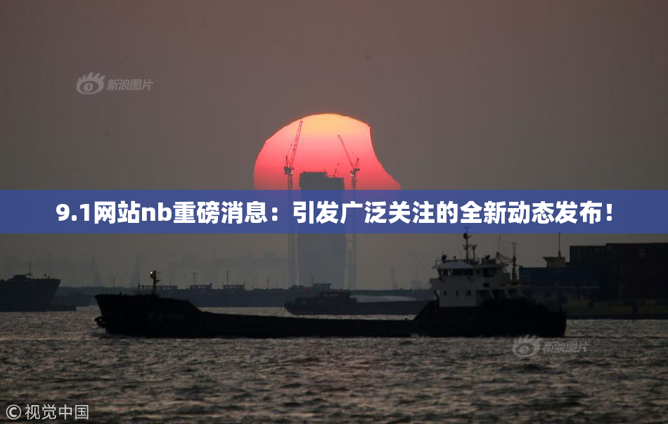 9.1网站nb重磅消息：引发广泛关注的全新动态发布！