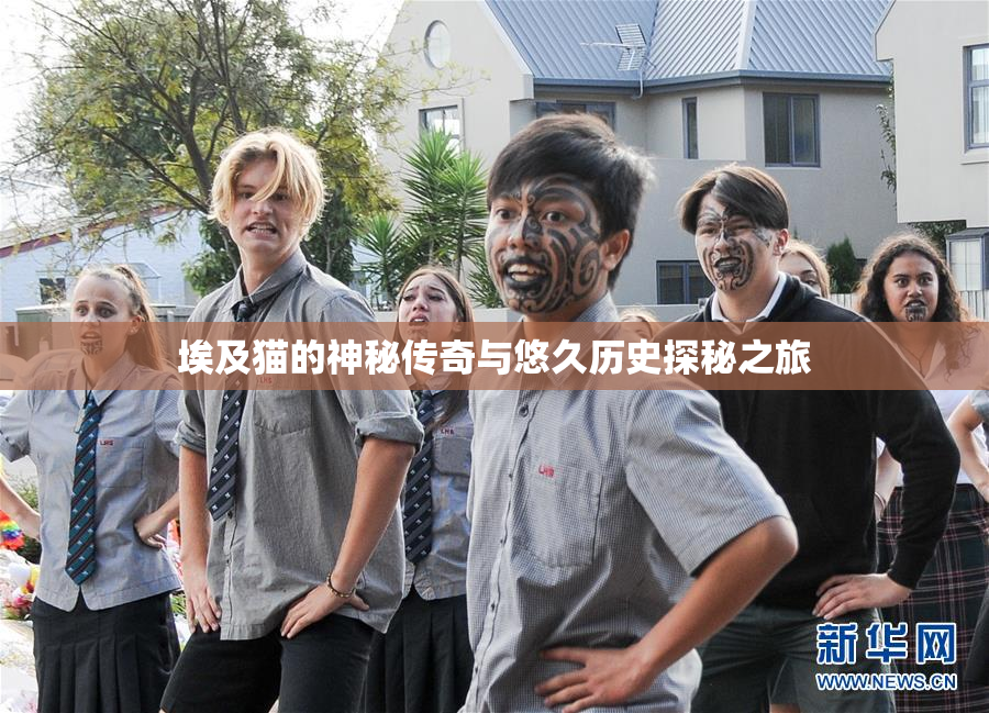 埃及猫的神秘传奇与悠久历史探秘之旅