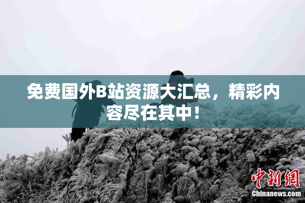 免费国外B站资源大汇总，精彩内容尽在其中！