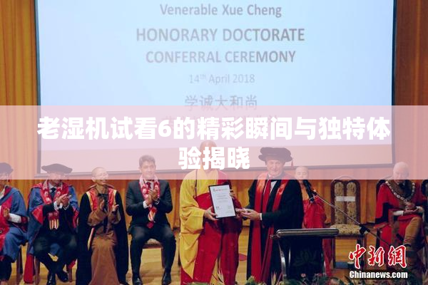 老湿机试看6的精彩瞬间与独特体验揭晓