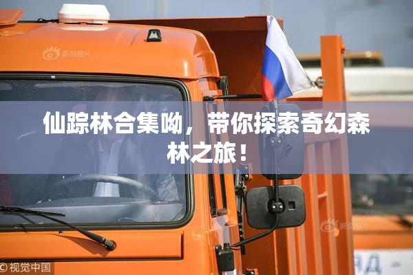 仙踪林合集呦，带你探索奇幻森林之旅！