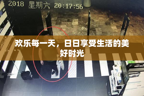 欢乐每一天，日日享受生活的美好时光