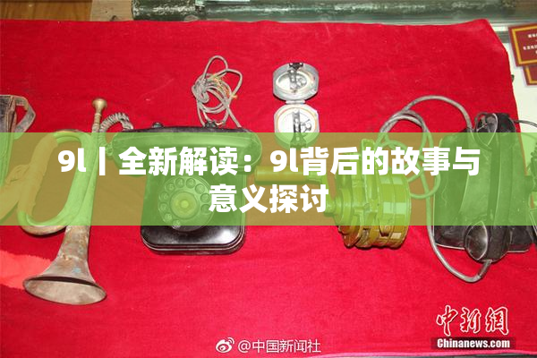 9l丨全新解读：9l背后的故事与意义探讨