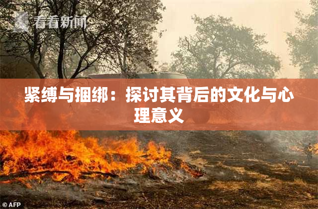 紧缚与捆绑：探讨其背后的文化与心理意义