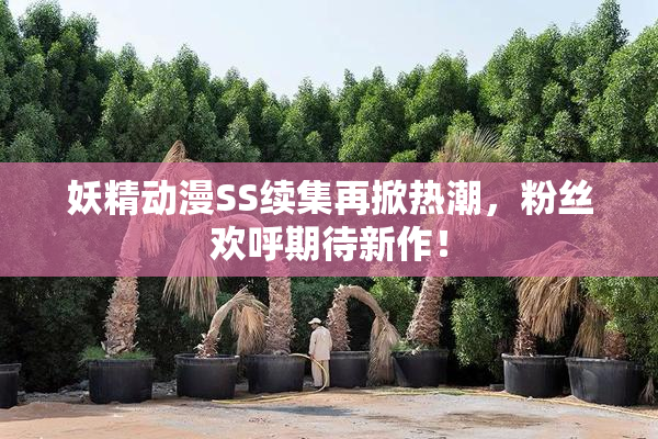 妖精动漫SS续集再掀热潮，粉丝欢呼期待新作！