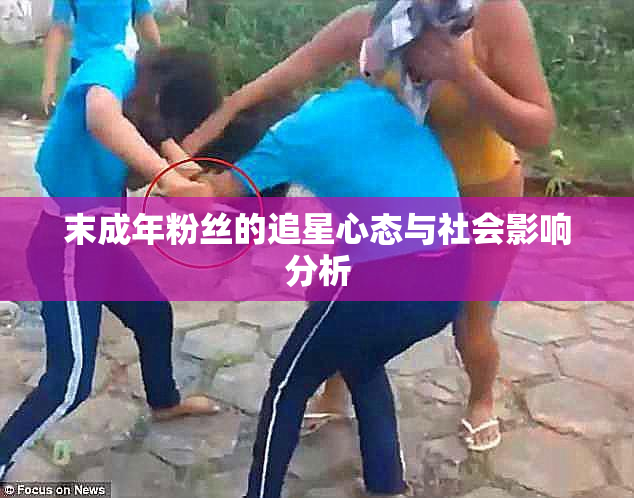 末成年粉丝的追星心态与社会影响分析