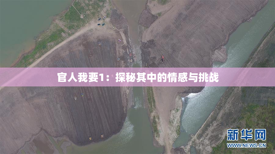 官人我要1：探秘其中的情感与挑战