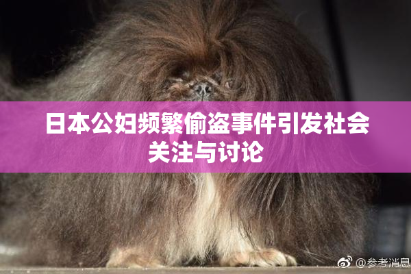 日本公妇频繁偷盗事件引发社会关注与讨论