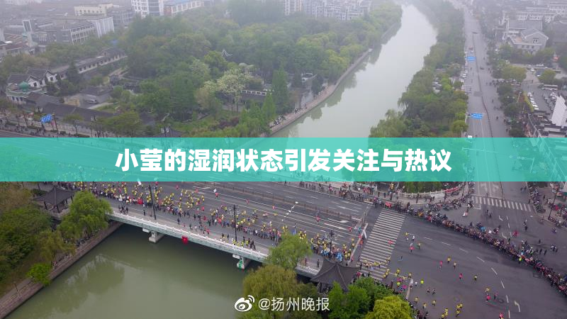 小莹的湿润状态引发关注与热议