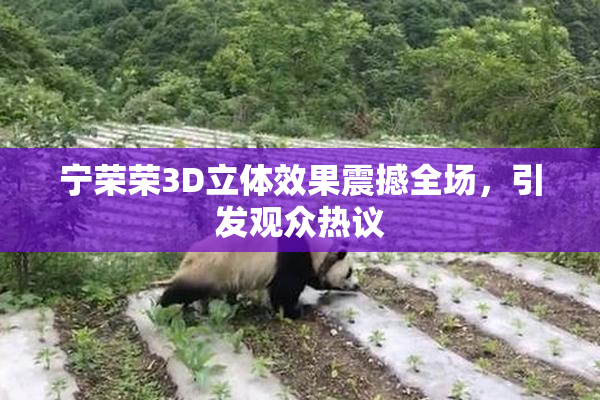 宁荣荣3D立体效果震撼全场，引发观众热议