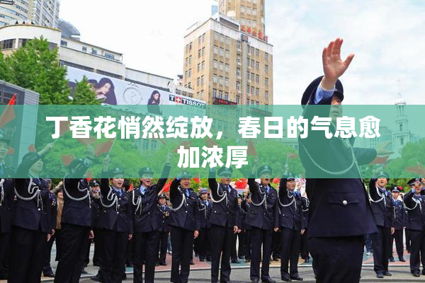 丁香花悄然绽放，春日的气息愈加浓厚