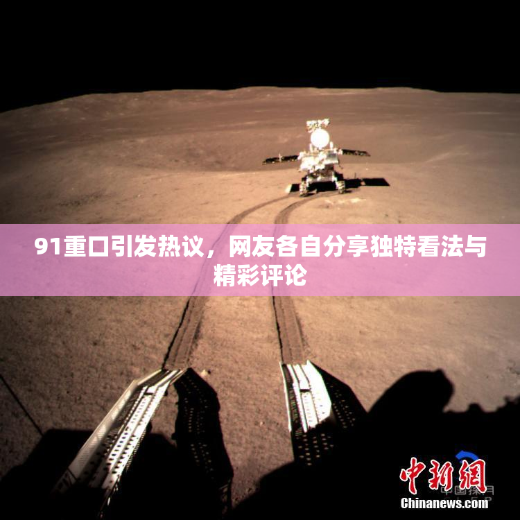91重口引发热议，网友各自分享独特看法与精彩评论