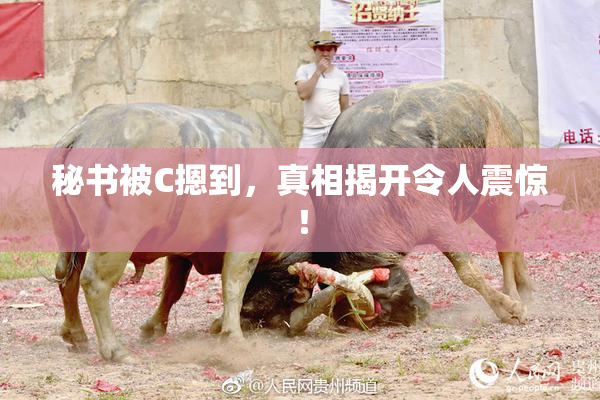 秘书被C摁到，真相揭开令人震惊！