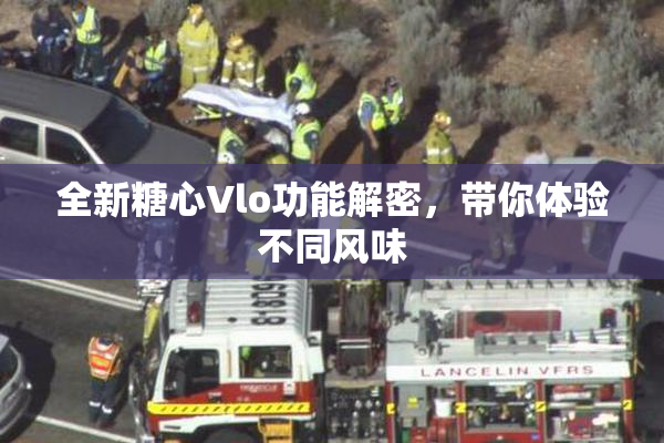 全新糖心Vlo功能解密，带你体验不同风味