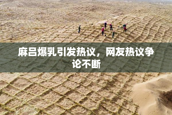 麻吕爆乳引发热议，网友热议争论不断