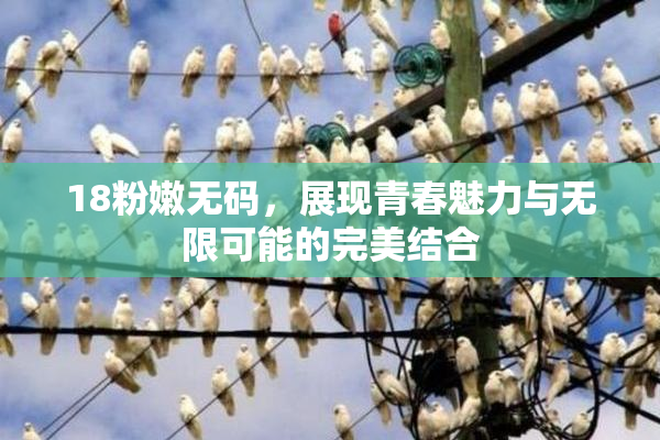 18粉嫩无码，展现青春魅力与无限可能的完美结合