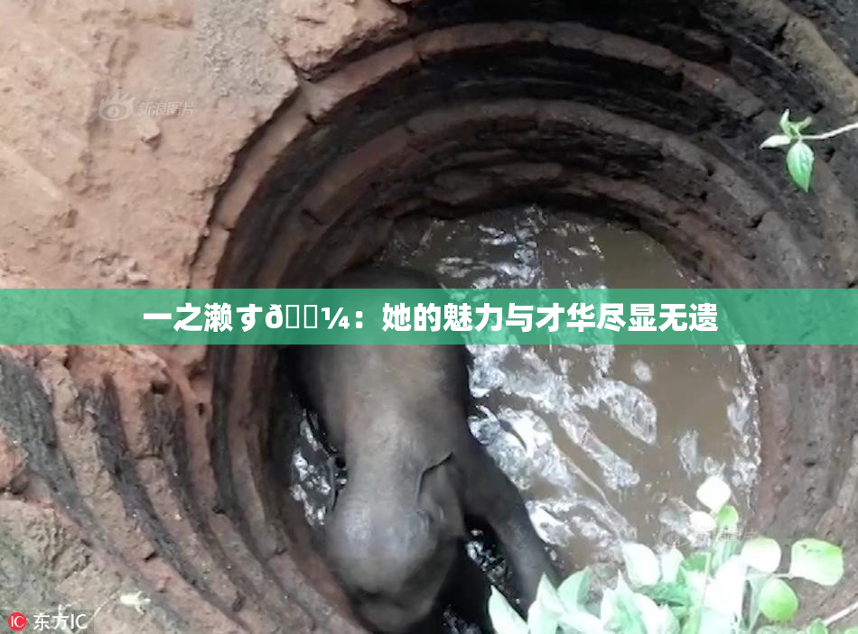 一之濑す🌼：她的魅力与才华尽显无遗