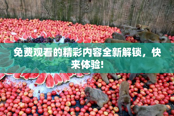 免费观看的精彩内容全新解锁，快来体验!