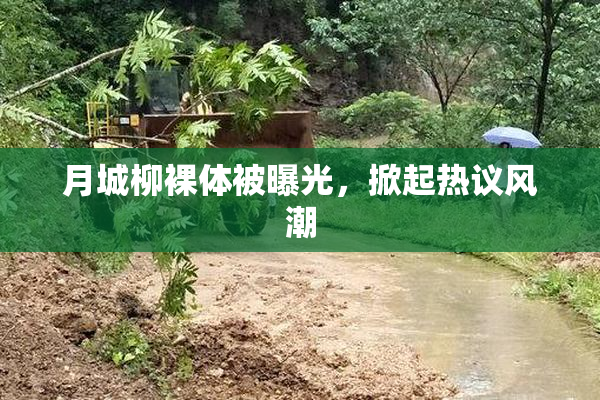 月城柳裸体被曝光，掀起热议风潮