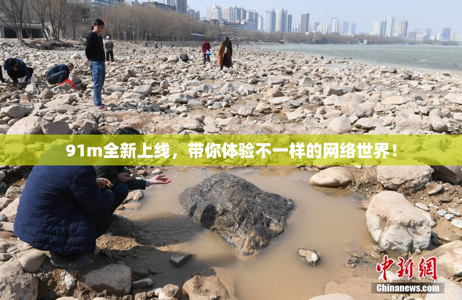 91m全新上线，带你体验不一样的网络世界！