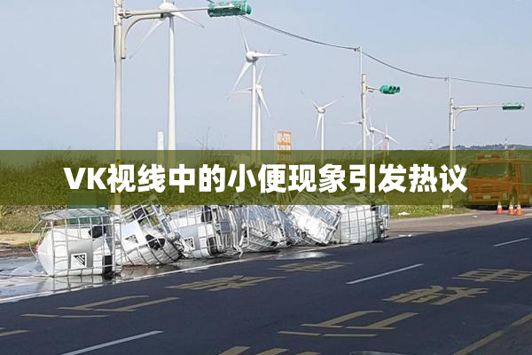 VK视线中的小便现象引发热议