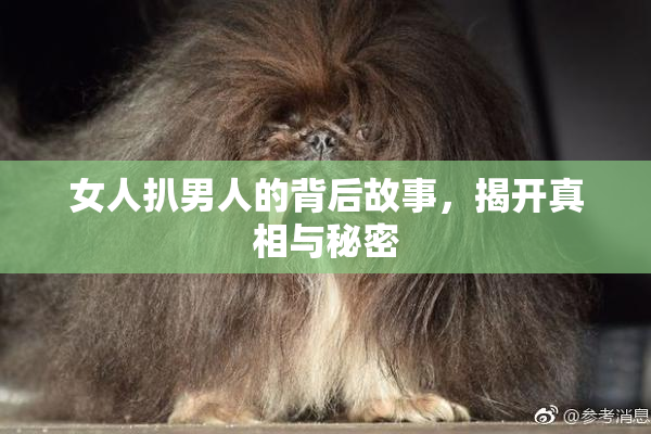 女人扒男人的背后故事，揭开真相与秘密