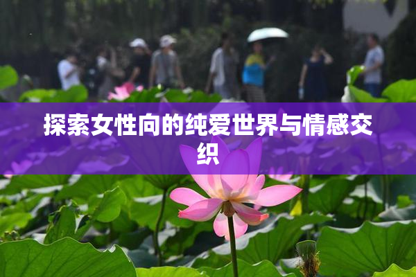 探索女性向的纯爱世界与情感交织