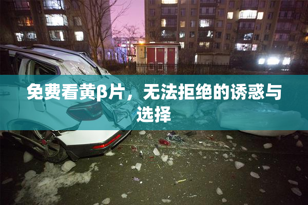 免费看黄β片，无法拒绝的诱惑与选择