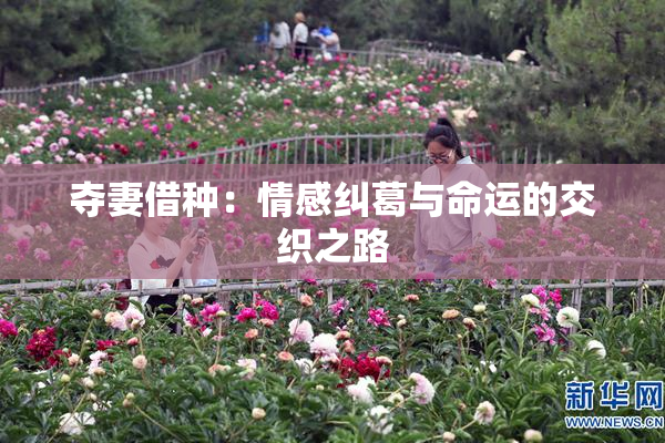 夺妻借种：情感纠葛与命运的交织之路