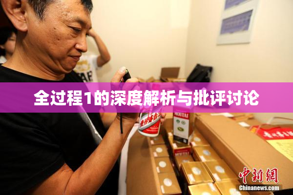 全过程1的深度解析与批评讨论