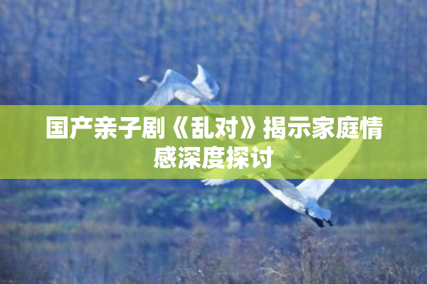 国产亲子剧《乱对》揭示家庭情感深度探讨