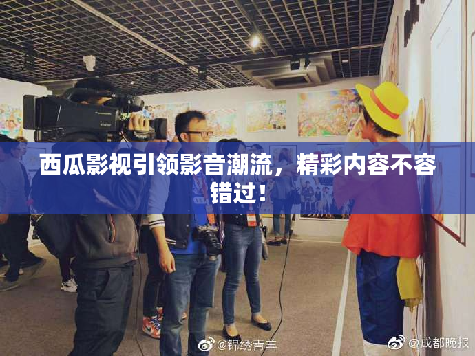 西瓜影视引领影音潮流，精彩内容不容错过！