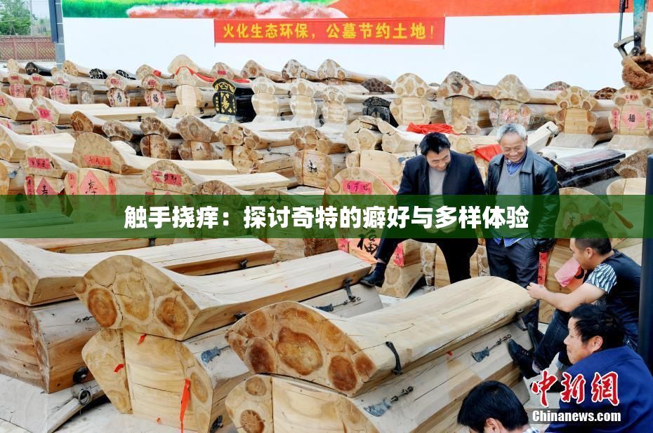 触手挠痒：探讨奇特的癖好与多样体验