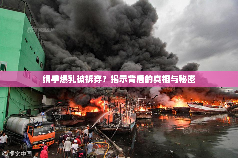 纲手爆乳被拆穿？揭示背后的真相与秘密